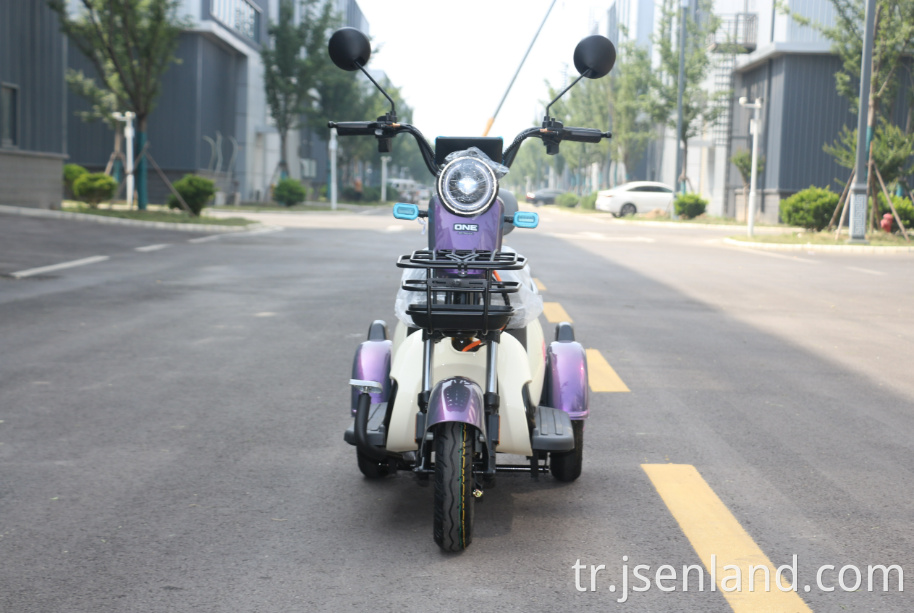 800W Lityum Pil Üç Tekerlekli Bisiklet 800W Lithium Battery Tricycle